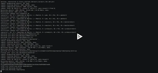 Recorded terminal demonstration of the SPIRS TEE integration